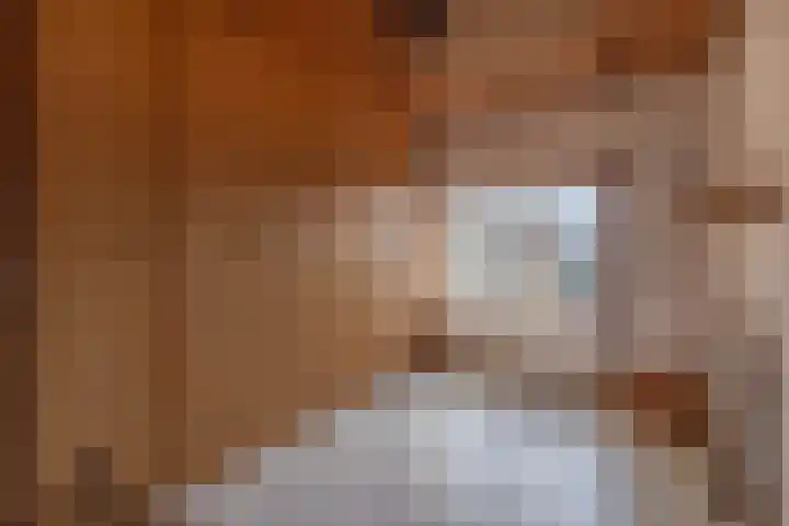 Oude Baan 56 Reuver thumbnail 22