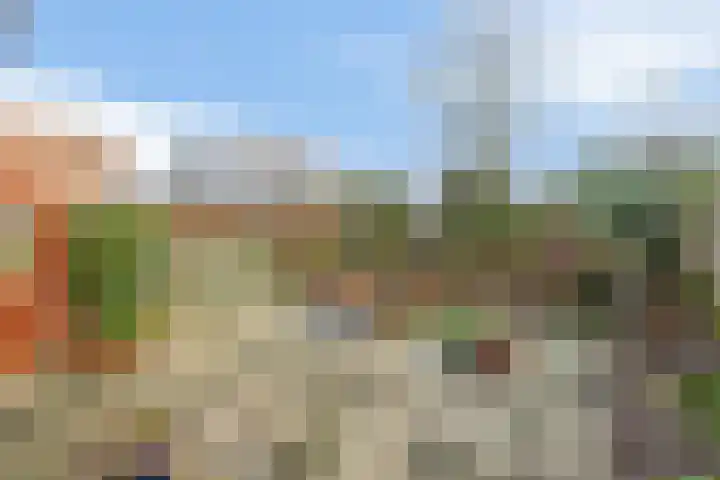 Oude Baan 56 Reuver thumbnail 26