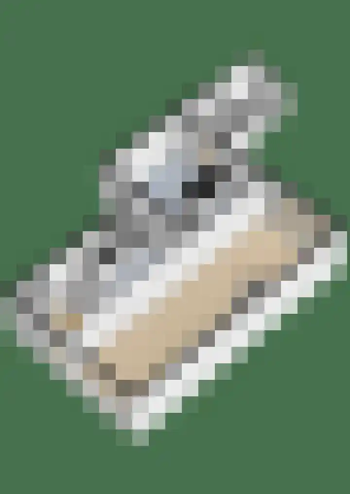 Oude Baan 56 Reuver thumbnail 33