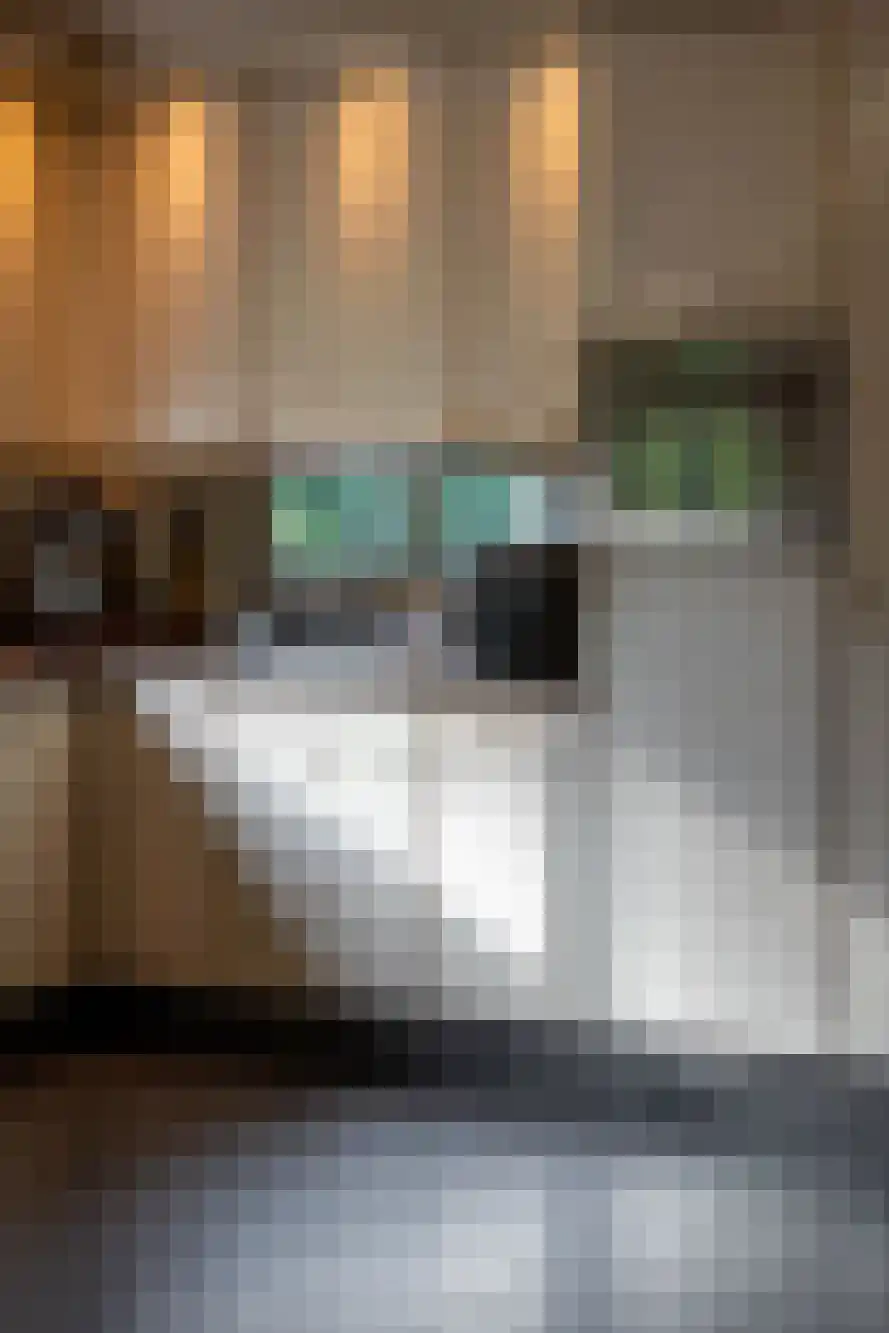 Oude Baan 690 Best thumbnail 17