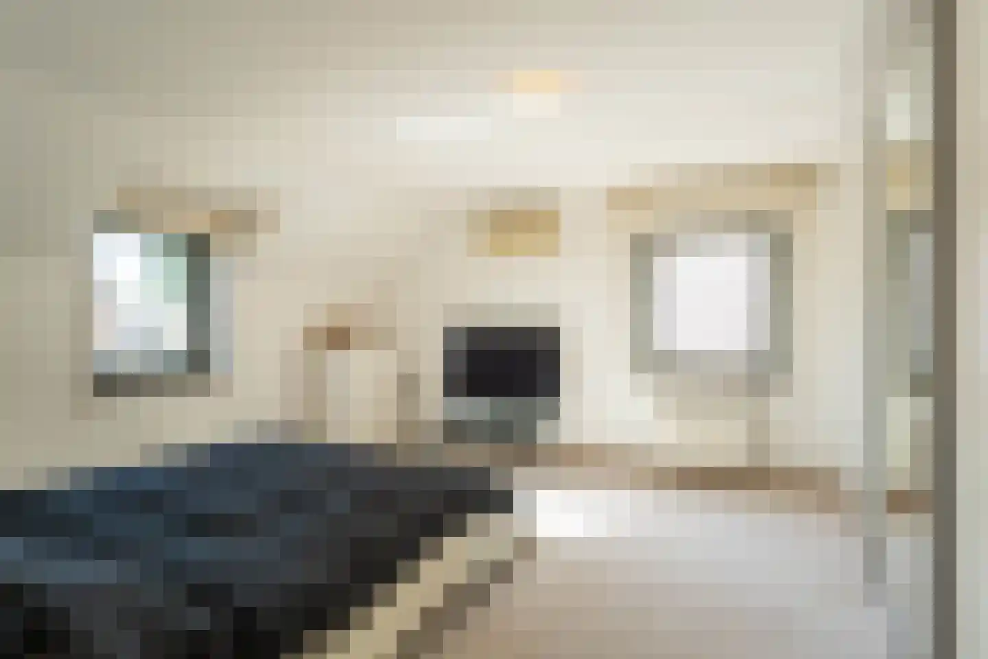 Oude Baan 690 Best thumbnail 25