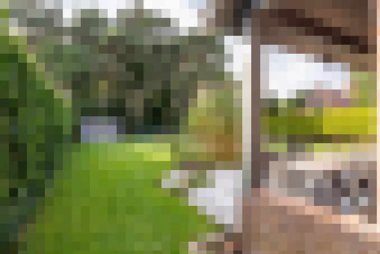 Oude Baan 690 Best thumbnail 39