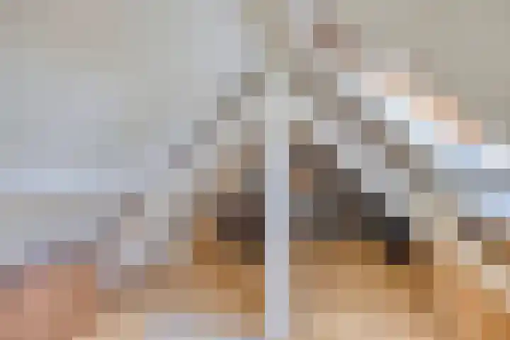 Oude Baan 74 Dongen thumbnail 27