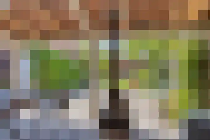 Oude Baan 74 Dongen thumbnail 31