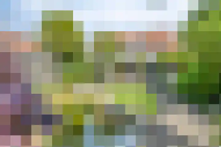 Oude Baan 74 Dongen thumbnail 34