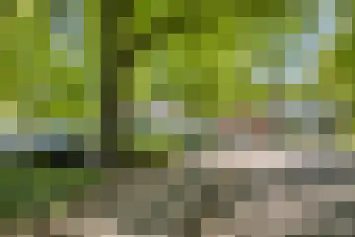 Oude Baan 74 Dongen thumbnail 39