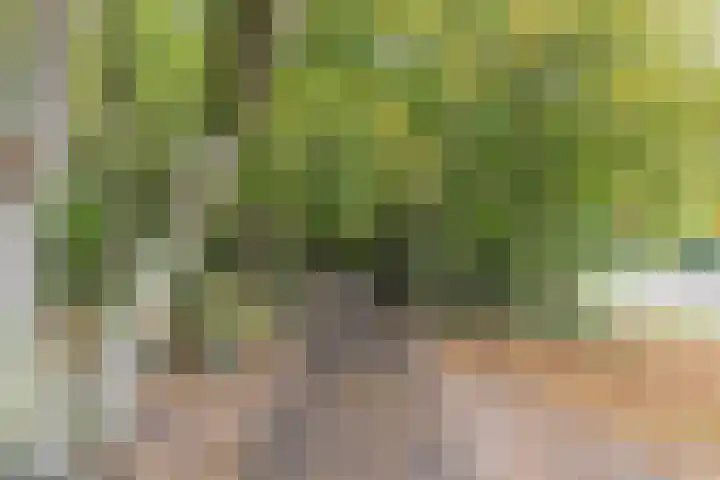 Oude Baan 76 Dongen thumbnail 30