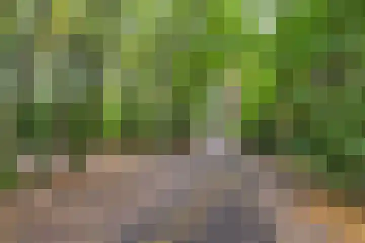 Oude Baan 76 Dongen thumbnail 31