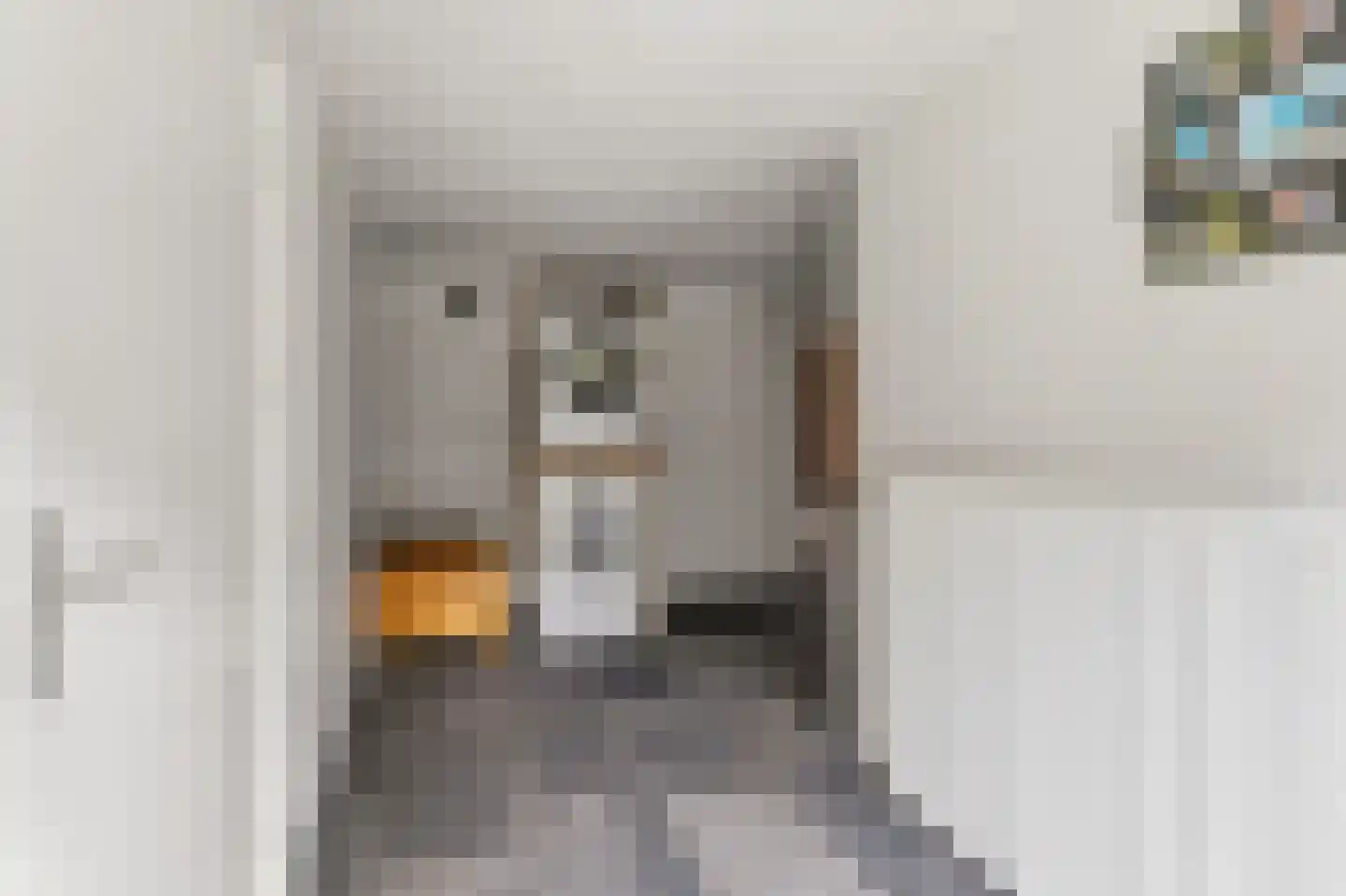 Oude Baan 9 Bergen L thumbnail 11