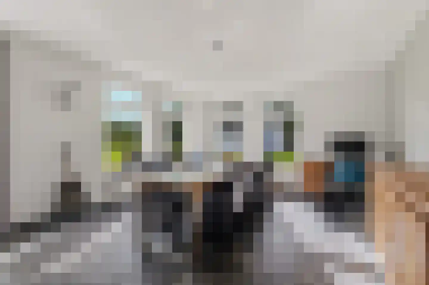 Oude Baan 9 Bergen L thumbnail 15