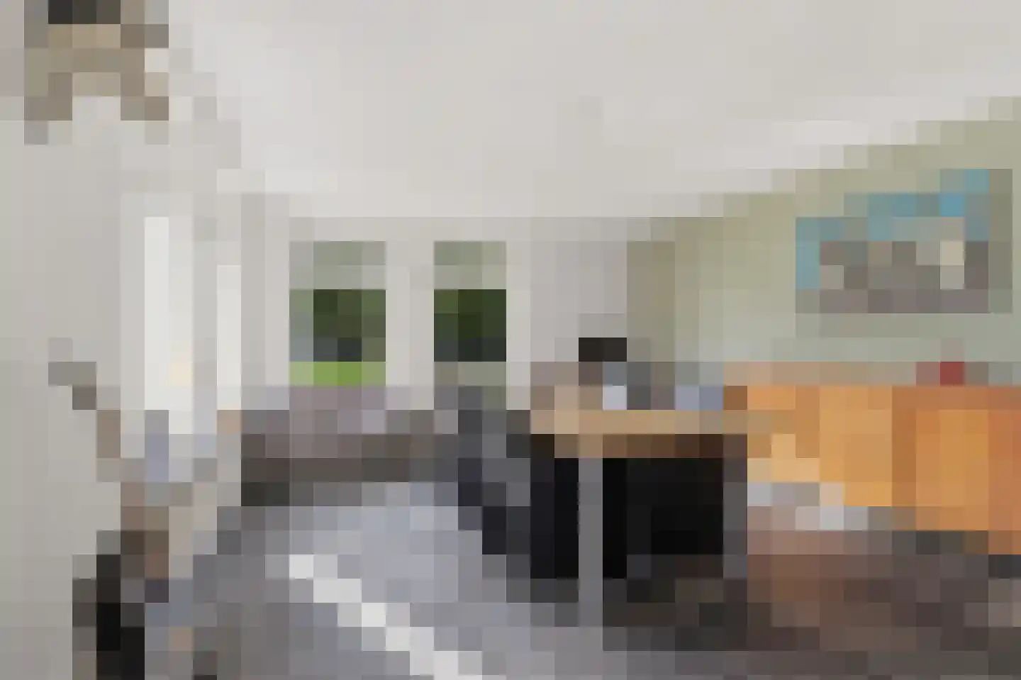 Oude Baan 9 Bergen L thumbnail 16