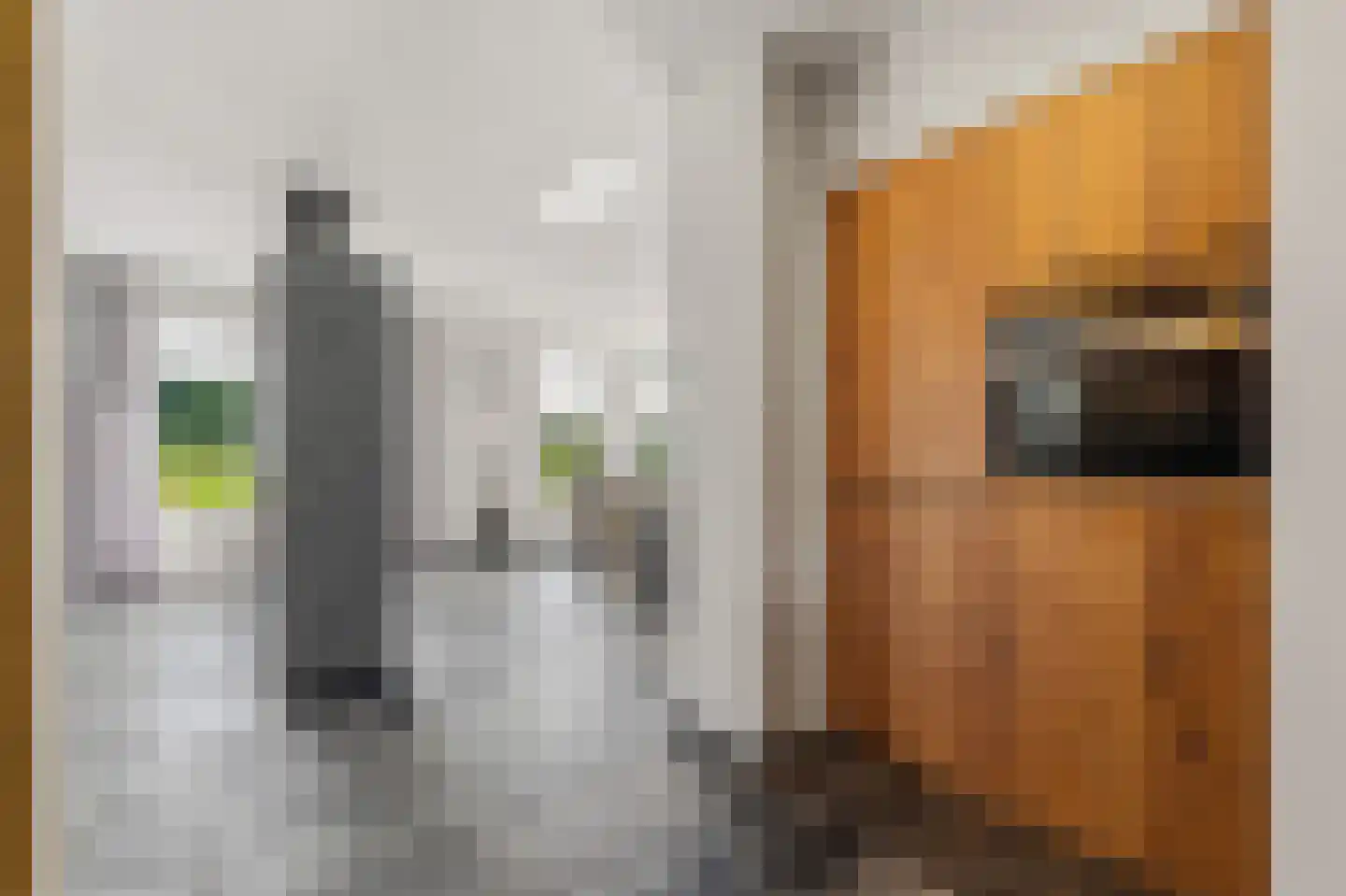 Oude Baan 9 Bergen L thumbnail 17