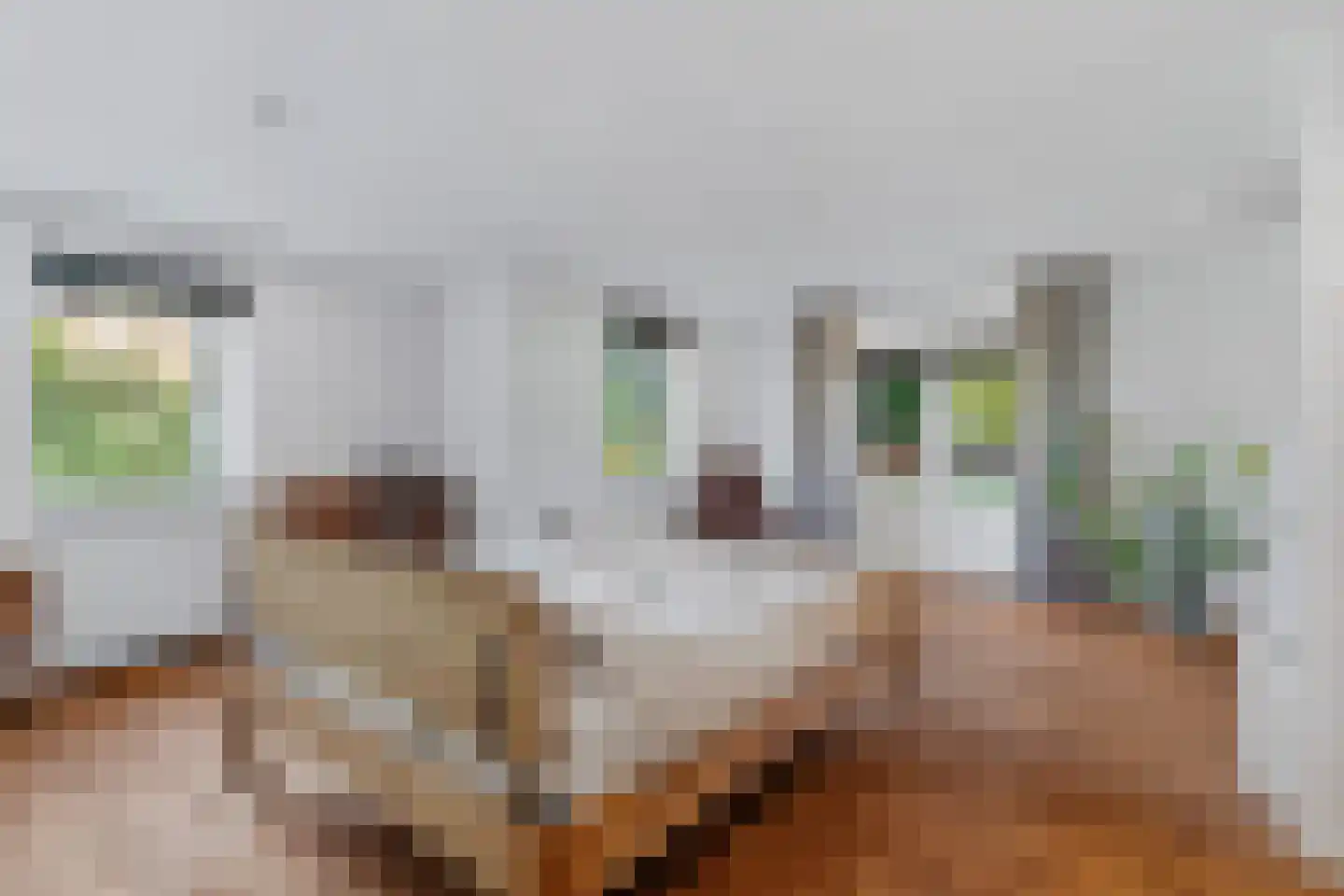 Oude Baan 9 Bergen L thumbnail 22