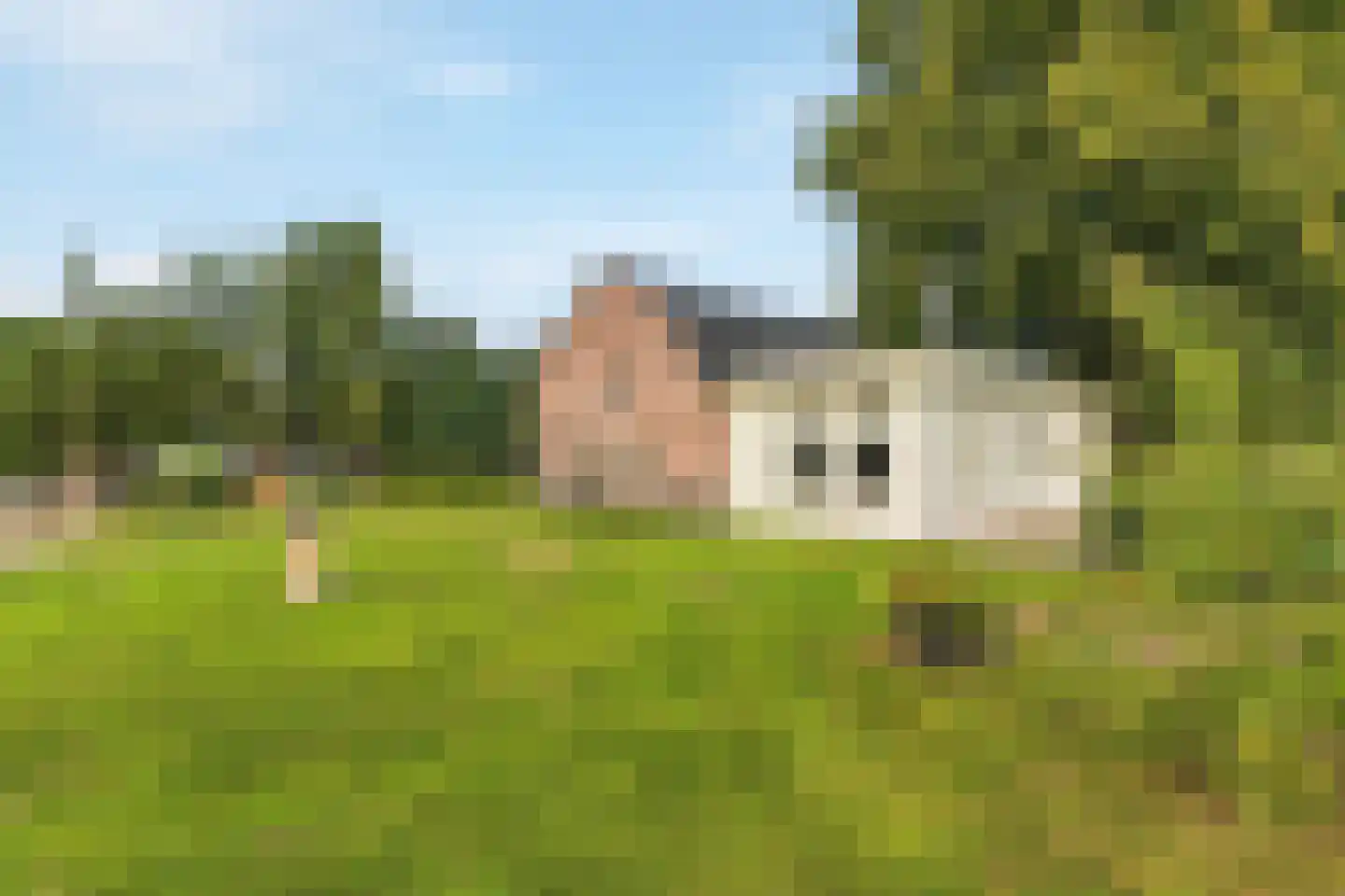 Oude Baan 9 Bergen L thumbnail 35