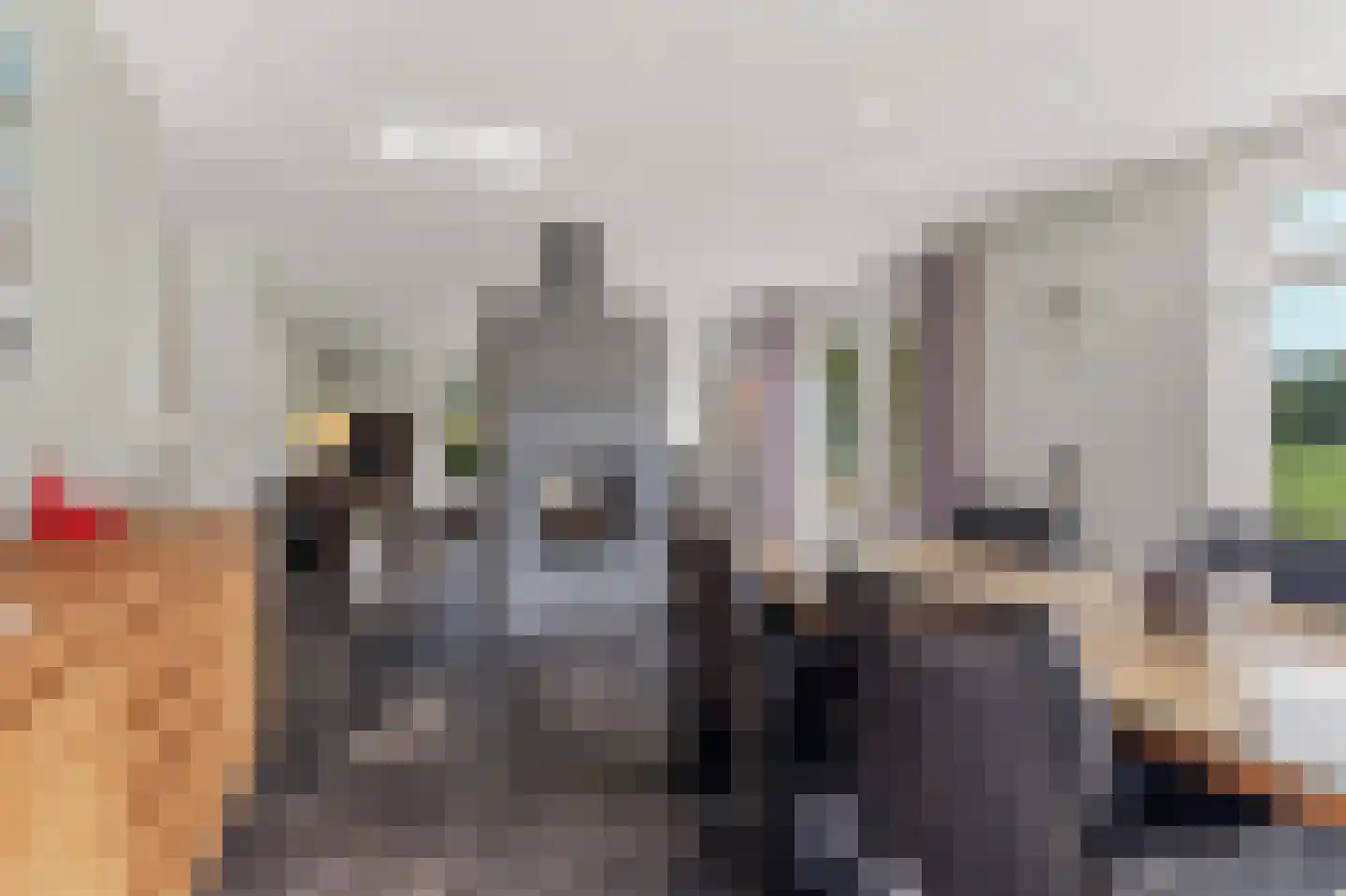 Oude Baan 9 Bergen L thumbnail 4