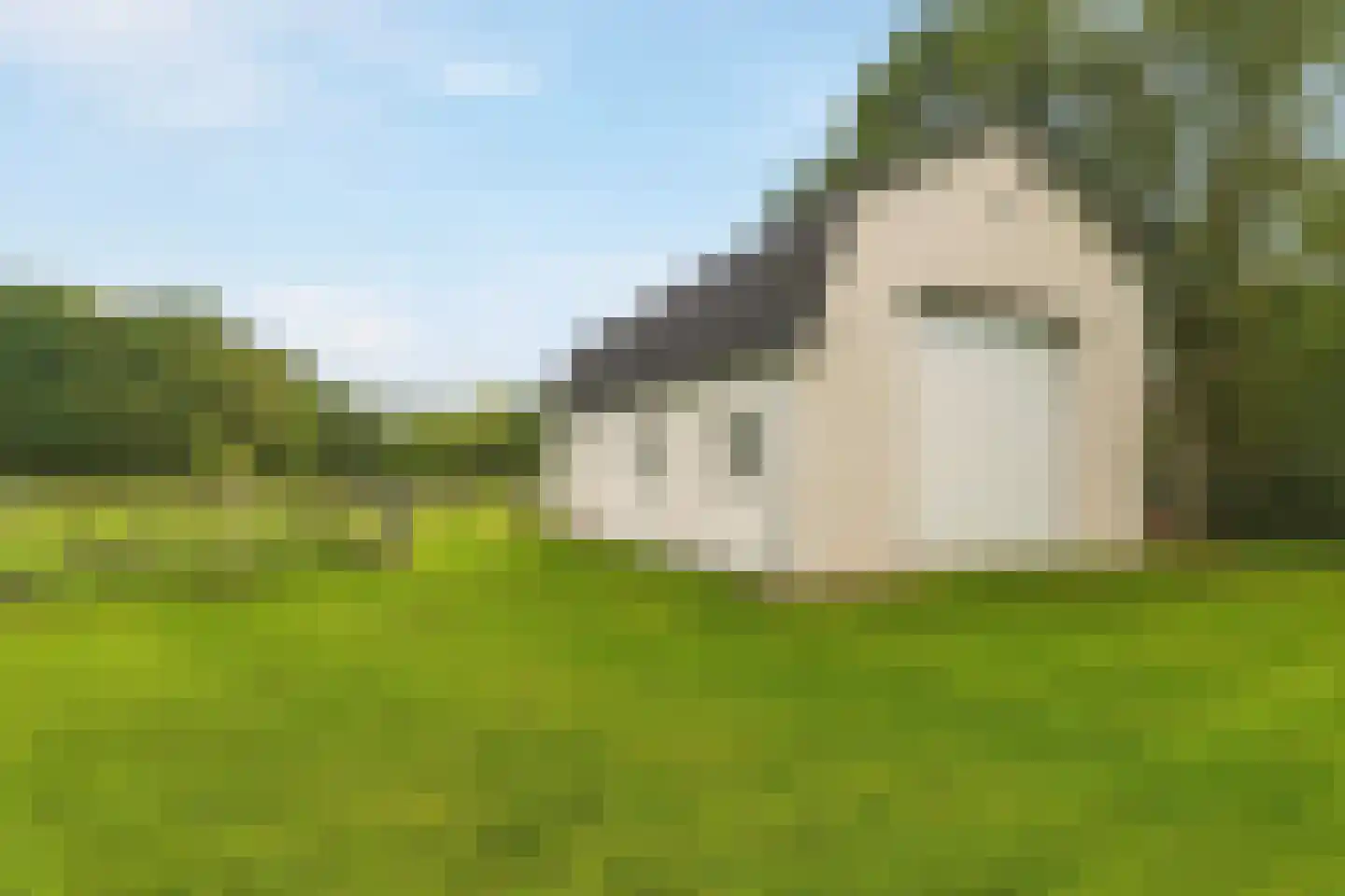 Oude Baan 9 Bergen L thumbnail 40