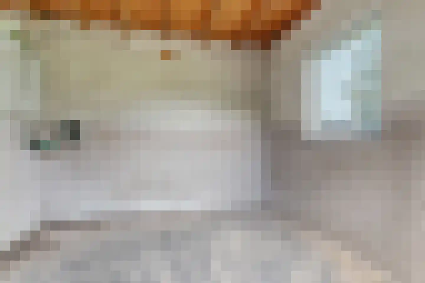 Oude Baan 9 Bergen L thumbnail 42