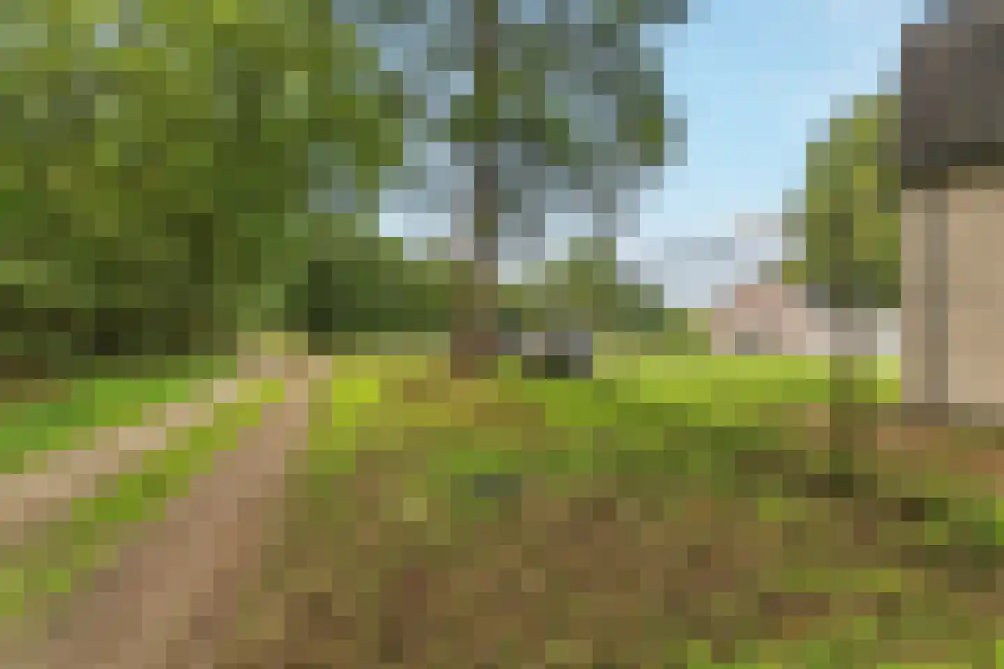 Oude Baan 9 Bergen L thumbnail 43
