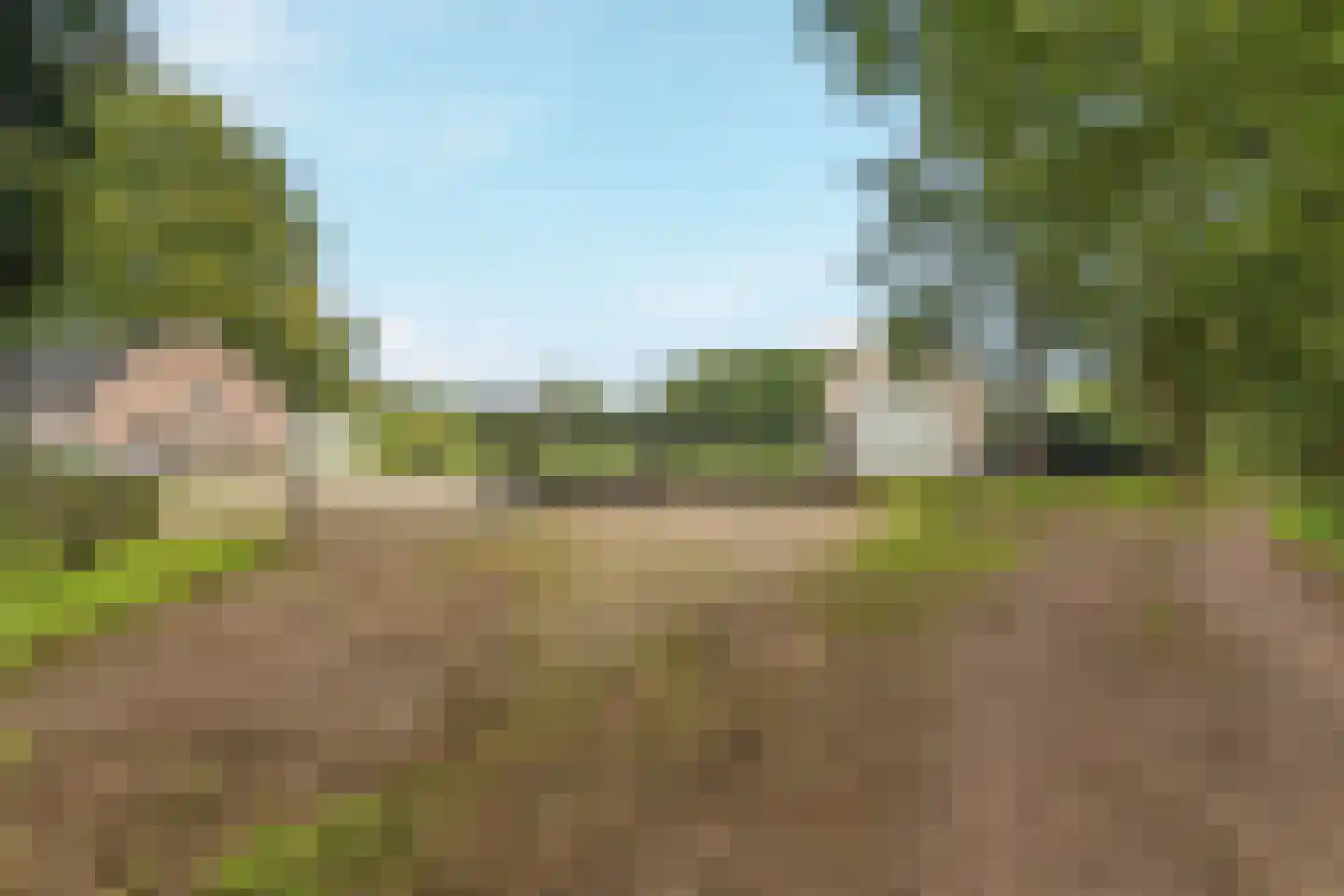 Oude Baan 9 Bergen L thumbnail 44