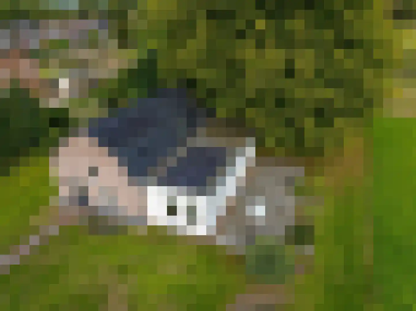 Oude Baan 9 Bergen L thumbnail 7