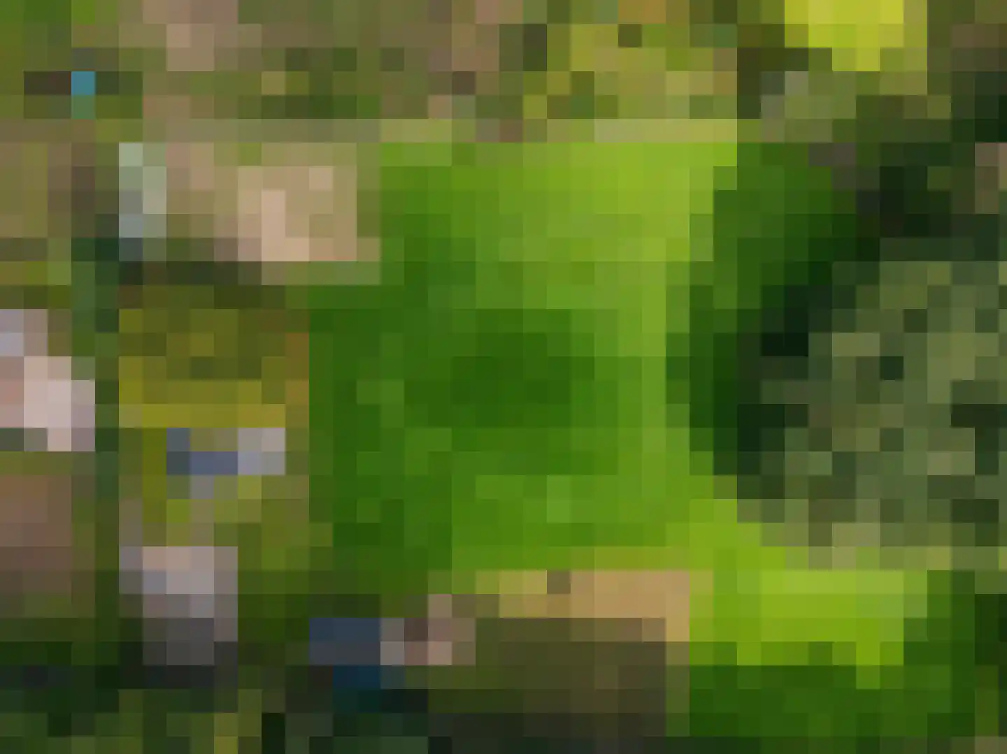 Oude Baan 9 Bergen L thumbnail 9