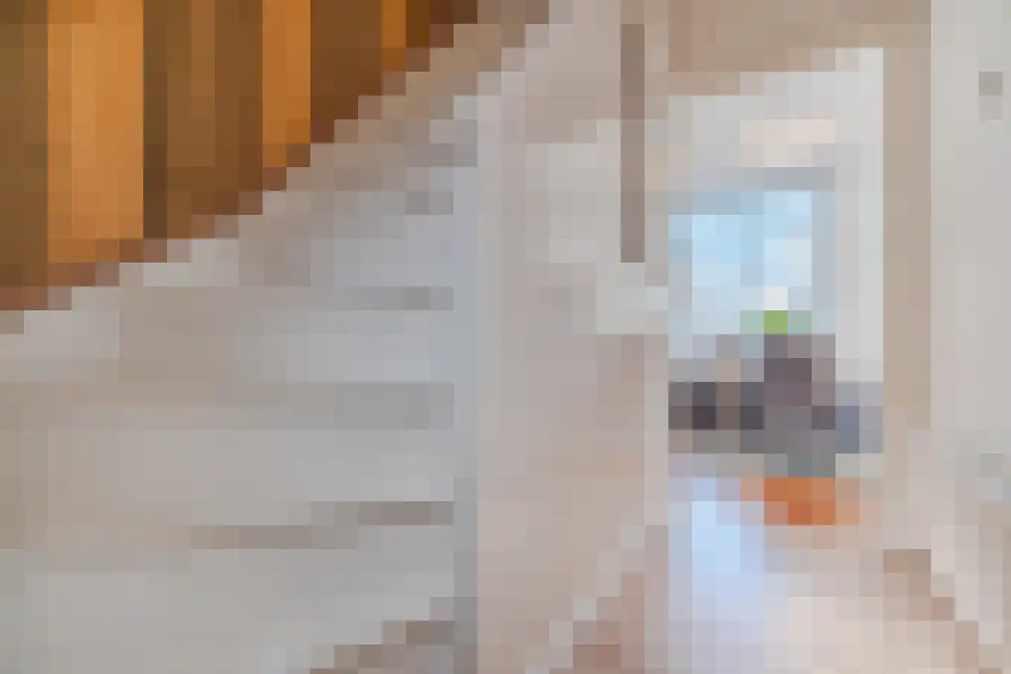 Oude Baan 9 Dongen thumbnail 7