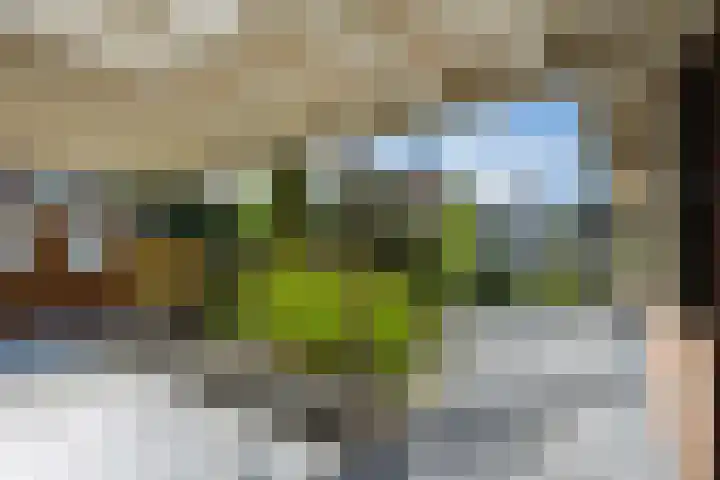 Oude Baan 93 Rosmalen thumbnail 31