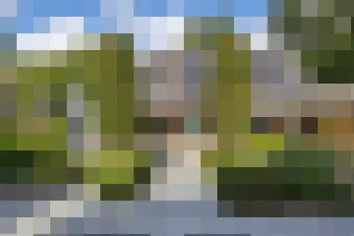 Oude Baan 93 Rosmalen thumbnail 33