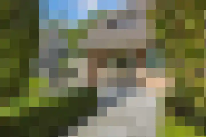 Oude Baan 93 Rosmalen thumbnail 34
