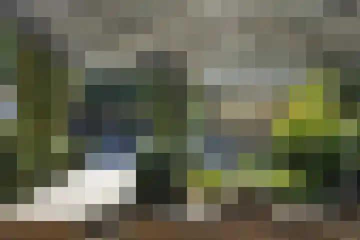 Oude Baan 93 Rosmalen thumbnail 37