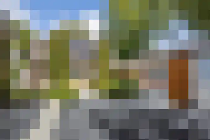 Oude Baan 93 Rosmalen thumbnail 42