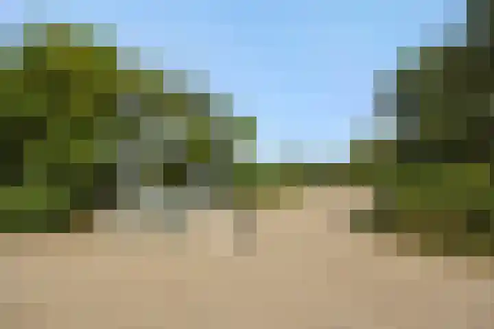 Oude Baan 93 Rosmalen thumbnail 55