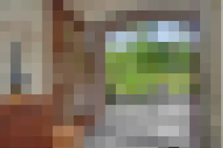 Oude Baan 93 Rosmalen thumbnail 6