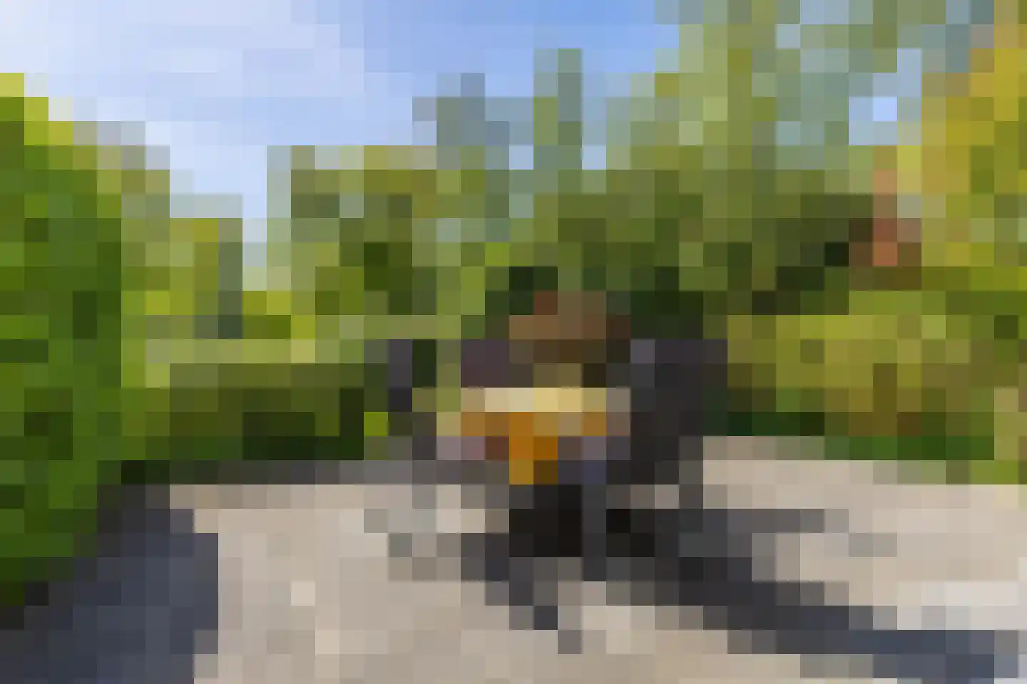 Oude Badweg 150 a 30 Haren Gn thumbnail 36