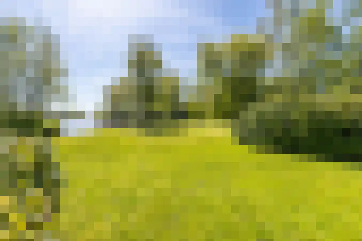 Oude Badweg 150 a 30 Haren Gn thumbnail 37