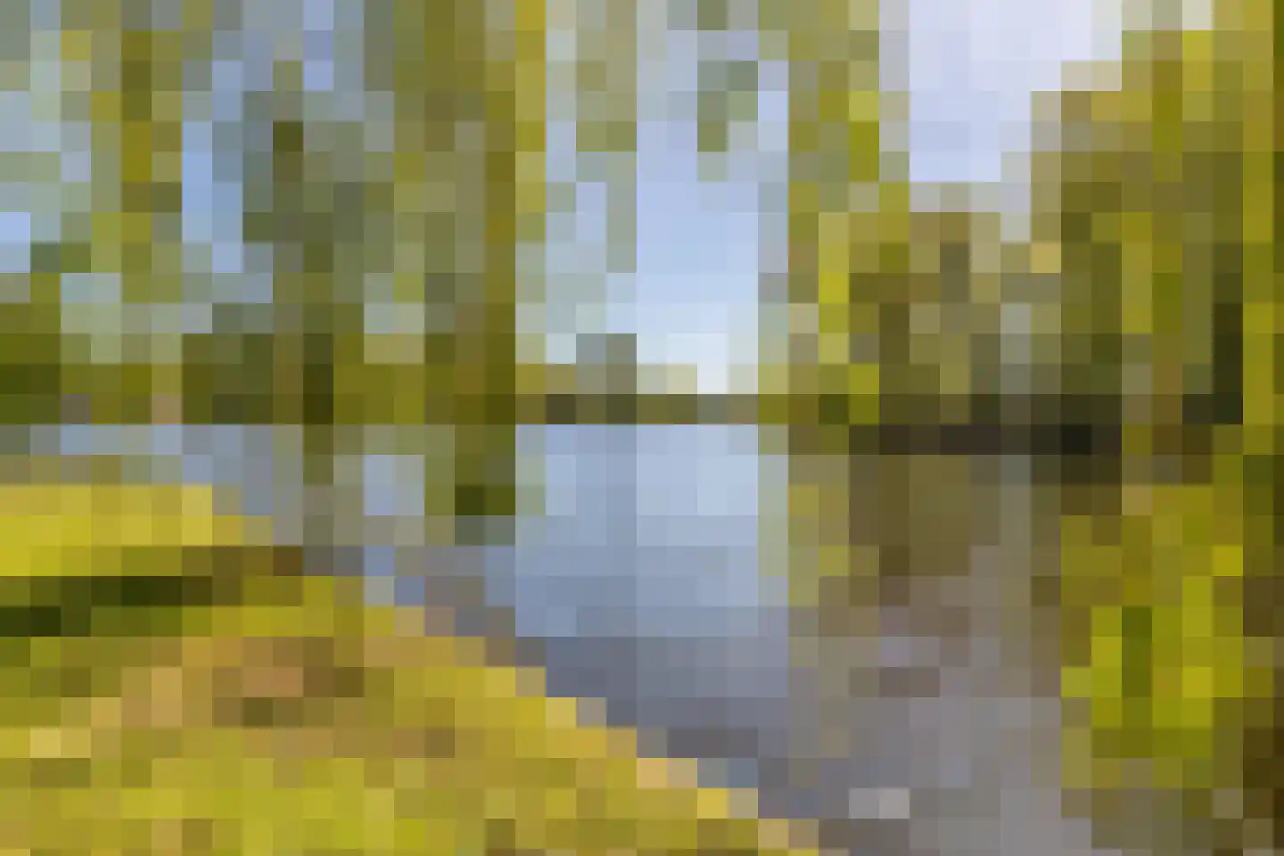 Oude Badweg 150 a 30 Haren Gn thumbnail 38