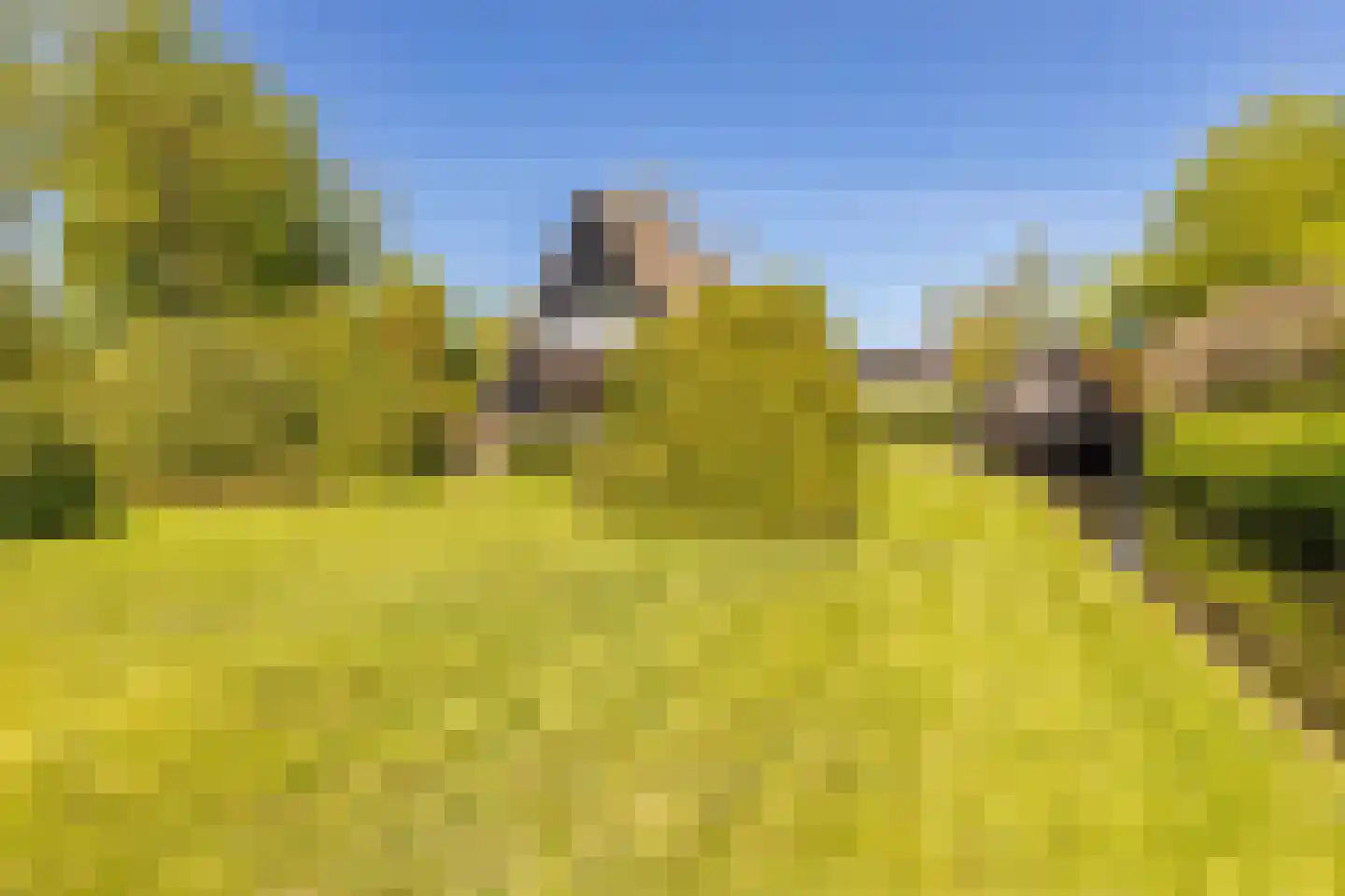 Oude Badweg 150 a 30 Haren Gn thumbnail 41