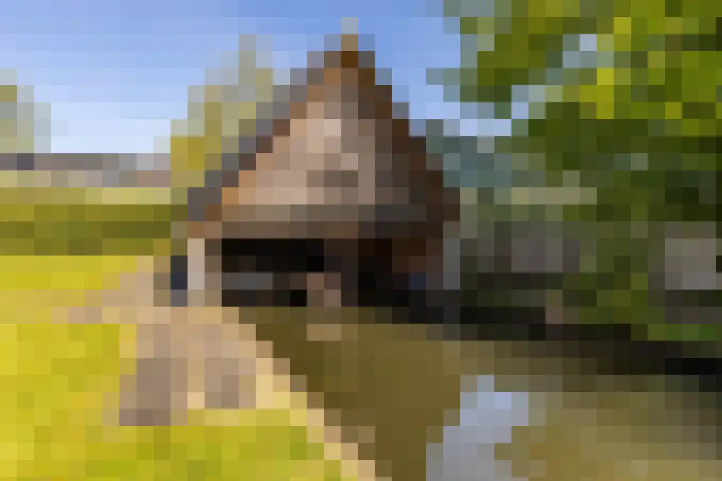 Oude Badweg 150 a 30 Haren Gn thumbnail 5