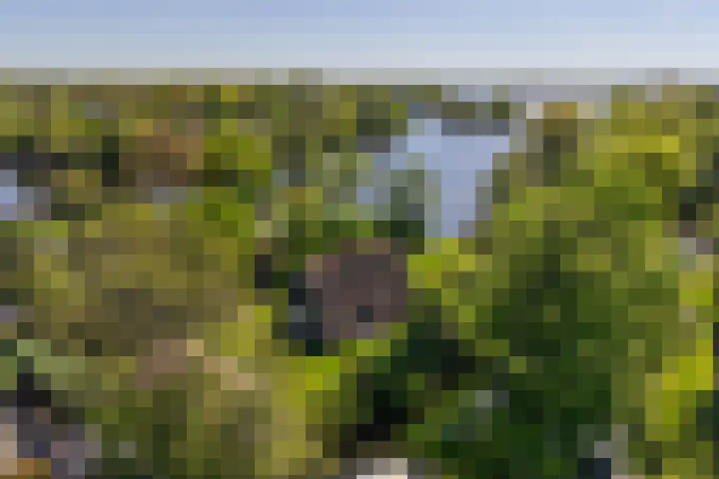 Oude Badweg 150 a 30 Haren Gn thumbnail 9