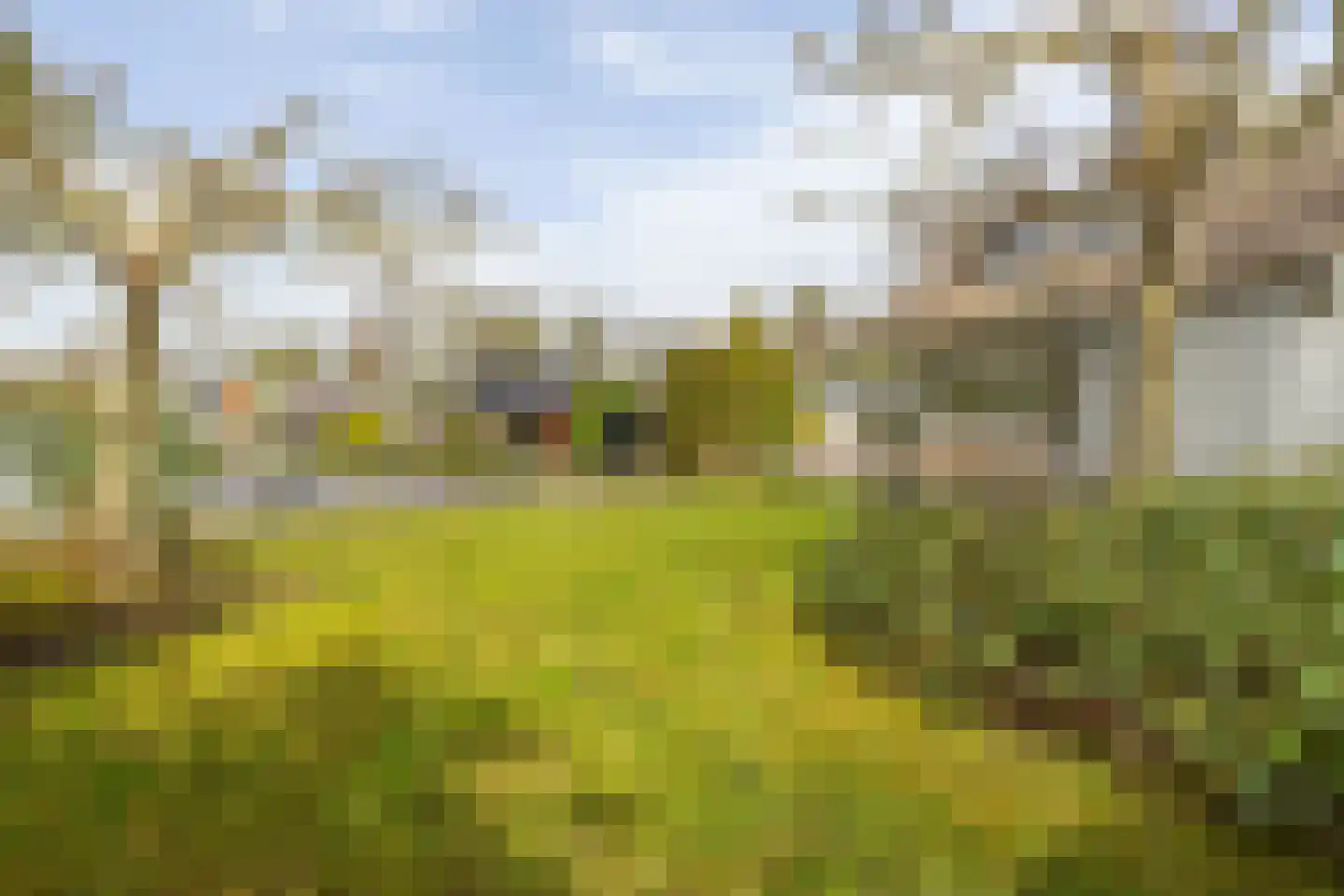 Oude Badweg 152 a 1 Haren Gn thumbnail 37