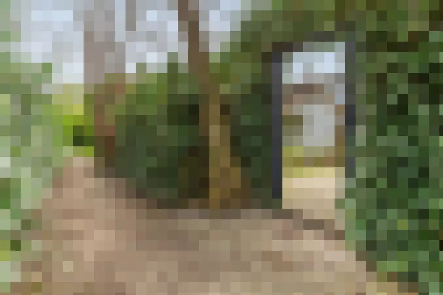 Oude Badweg 152 a 1 Haren Gn thumbnail 4