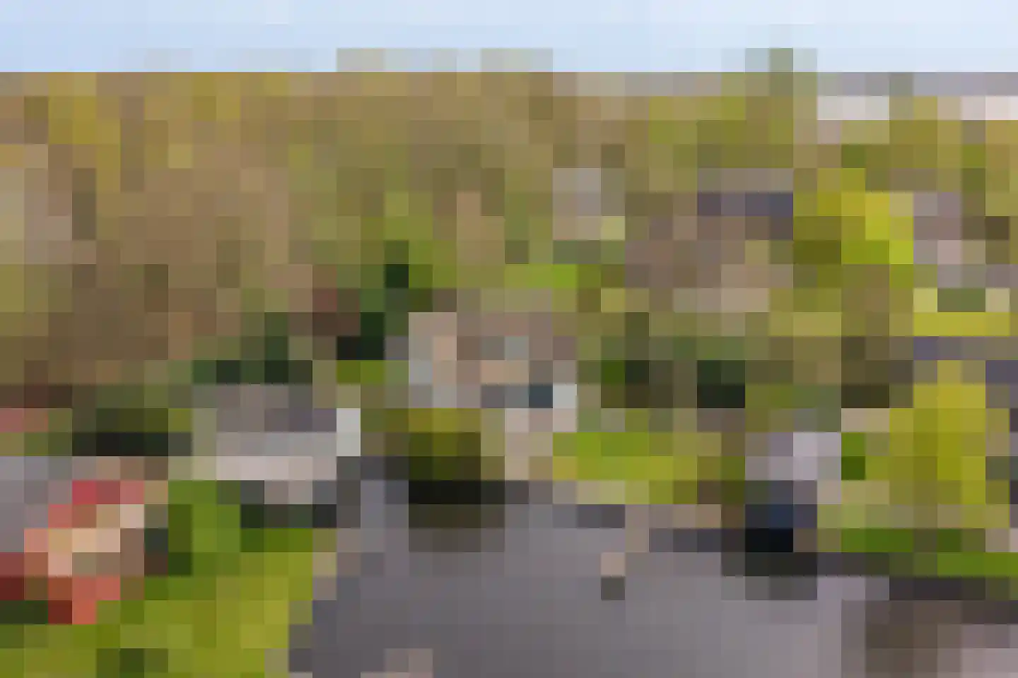 Oude Badweg 152 a 1 Haren Gn thumbnail 45