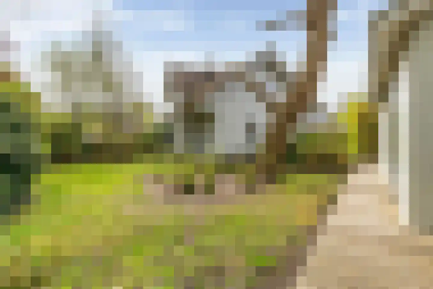 Oude Badweg 152 a 1 Haren Gn thumbnail 5
