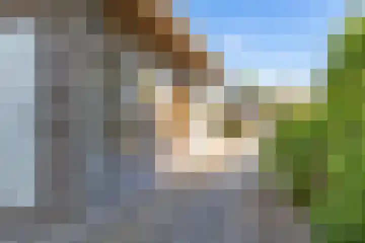 Oude Badweg 152 a 12 Haren Gn thumbnail 34