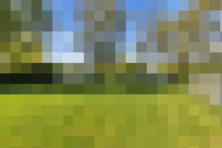 Oude Badweg 152 a 12 Haren Gn thumbnail 4