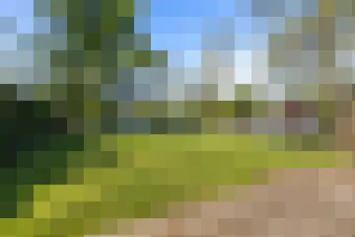 Oude Badweg 152 a 12 Haren Gn thumbnail 40