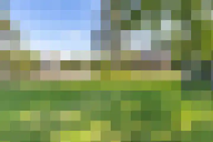 Oude Badweg 152 a 12 Haren Gn thumbnail 41