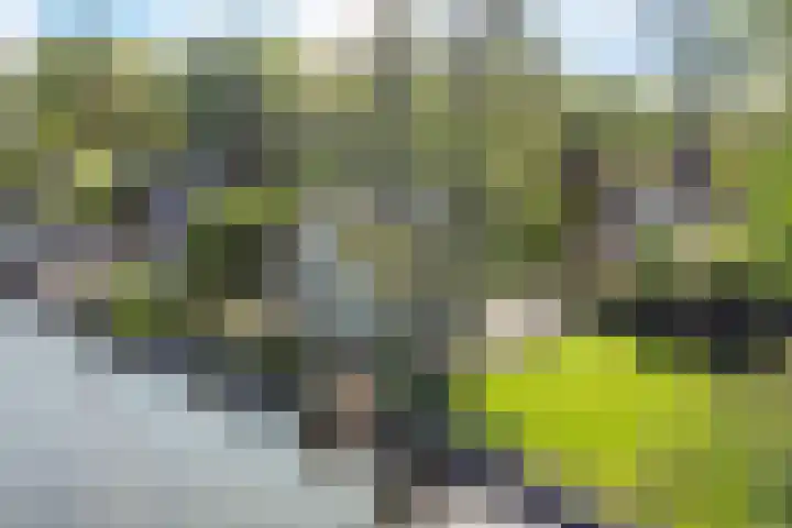 Oude Badweg 152 a 12 Haren Gn thumbnail 7