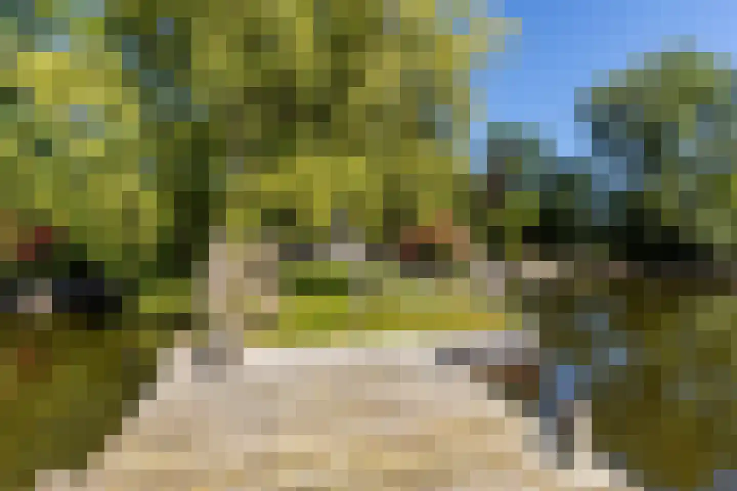 Oude Badweg 152 a 13 Haren Gn thumbnail 36