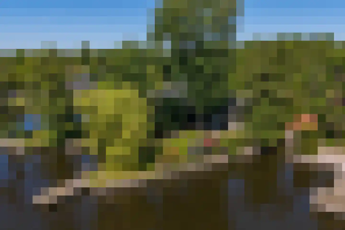 Oude Badweg 152 a 13 Haren Gn thumbnail 40
